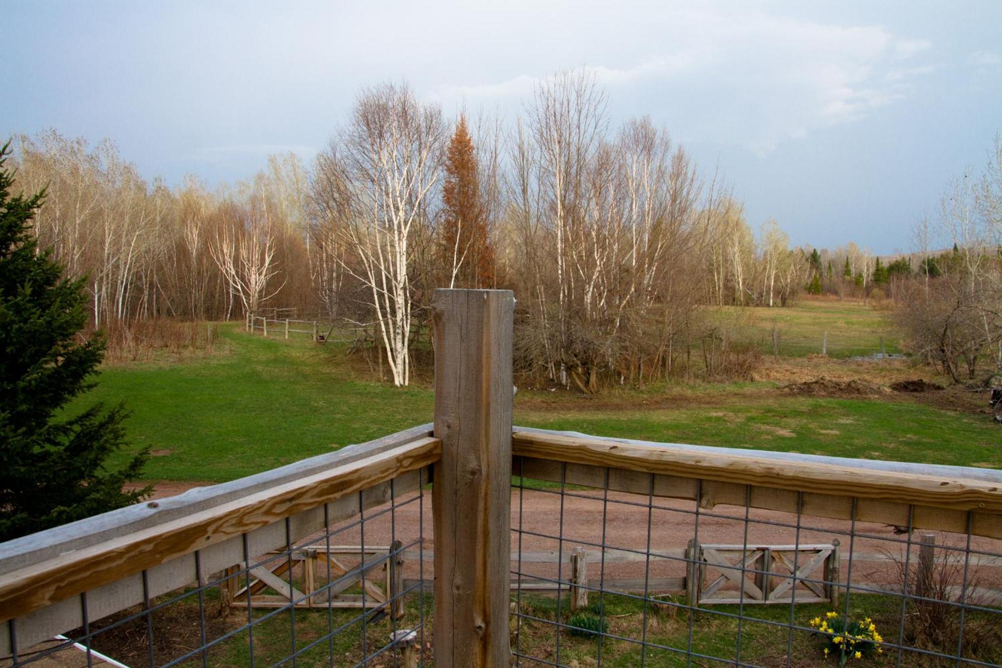 White Horse Stable Homestay